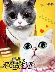 猫片之无喵生还